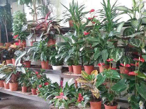 20160115_115030.jpg