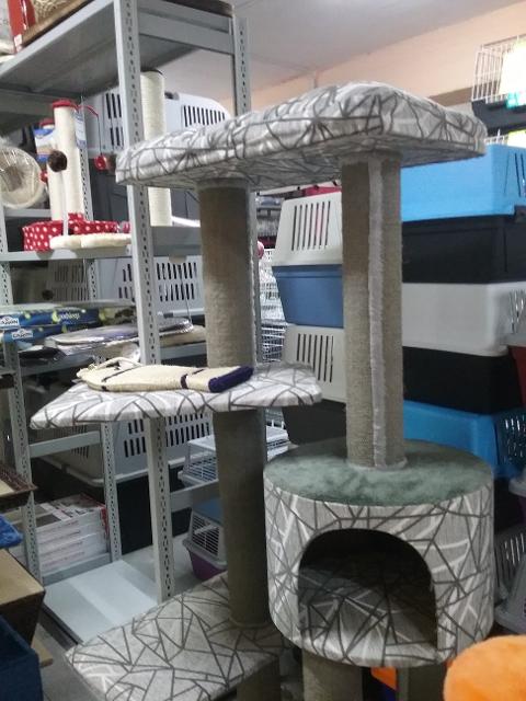 20160115_115632.jpg