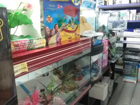 20160115_121117.jpg