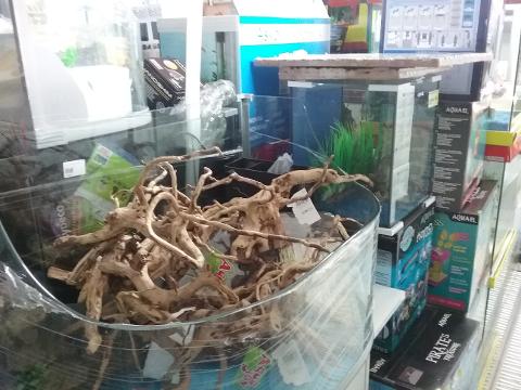 20160115_121202.jpg