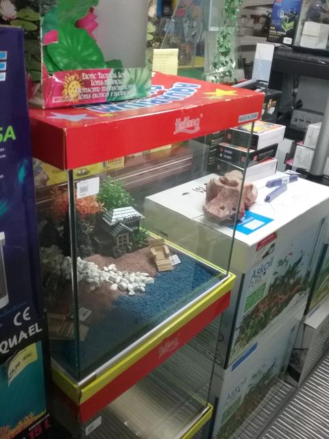 20160115_121211.jpg