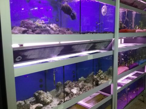 20160115_121301-1.jpg