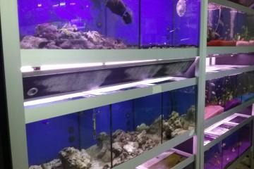 20160115_121301-360x240.jpg