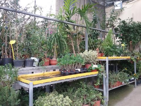 20160115_121425.jpg