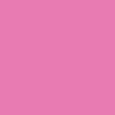 Vinile Easypvs Carnation Pink Siser A4