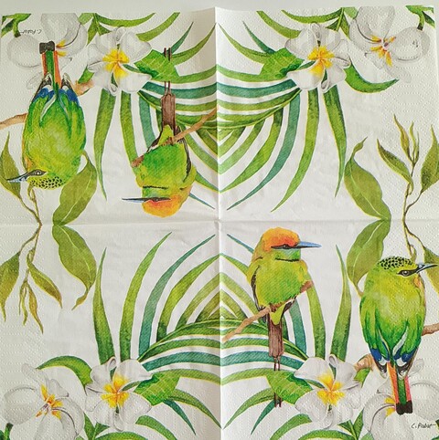 Tovaglioli con uccellini verdi arti e grafica busta da 2 pezzi 25 x25 cm