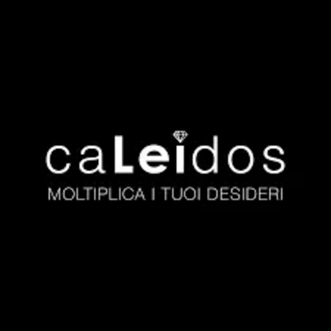 Borsa Tracolla in pelle  Bordo Caleidos linea pelle
