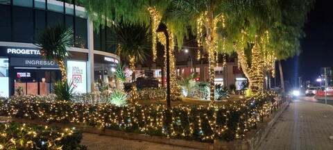 ALBERI MINILUCCIOLE PALME SIEPE Luminarie Natalizie Generico