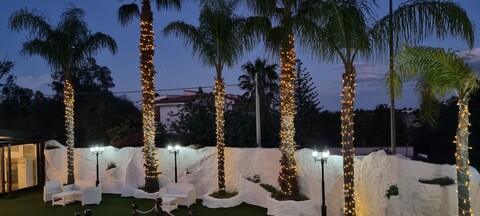 ALBERI MINILUCCIOLE PALME SIEPE Luminarie Natalizie Generico