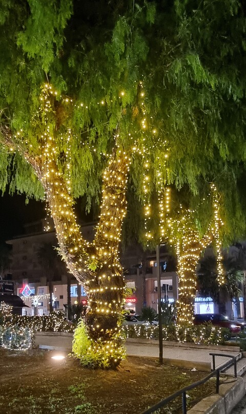 ALBERI MINILUCCIOLE PALME SIEPE Luminarie Natalizie Generico