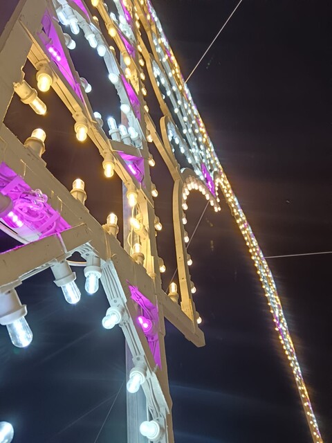 ARCO LUMINOSO FLOWERS 550 Luminarie Matrimonio