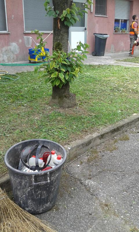 20150623_101211.jpg