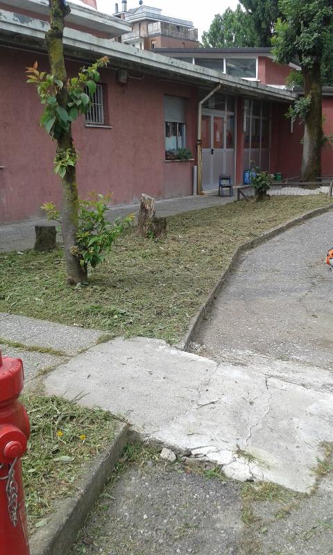 20150623_101232.jpg
