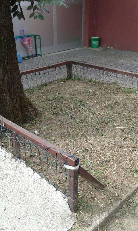 20150623_101311.jpg