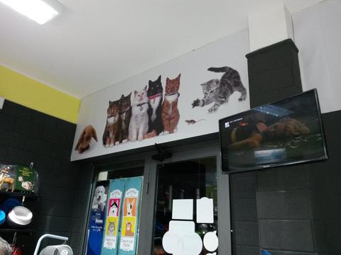 ARREDO PET PHILOSOPHY