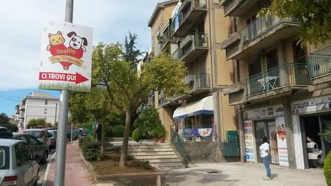 Espositore bifacciale