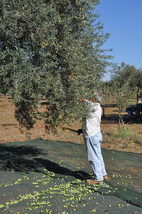 Foto di A. Restivo