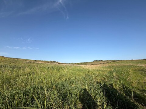 Terreno Agricolo in Vendita a Menfi (Agrigento)