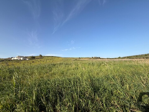 Terreno Agricolo in Vendita a Menfi (Agrigento)
