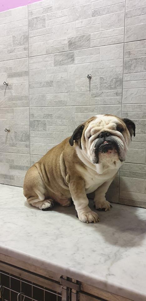 ettore2.jpg