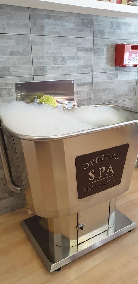 spa.jpg