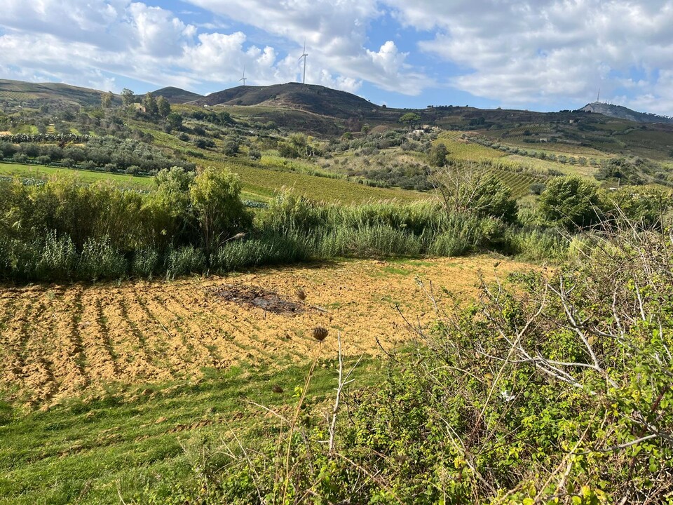 Villa in Vendita a Alcamo (Trapani)