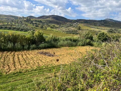 Villa in Vendita a Alcamo (Trapani)