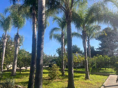 Villa in Vendita a Trappeto Ciammarita (Palermo)