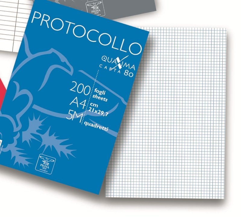 CONFEZIONI DA 200 FOGLI PROTOCOLLO 80 gr. Rig.5M pigna