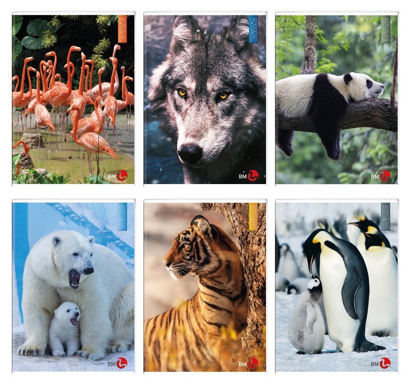 MAXI 80GR 4M ANIMAL bm