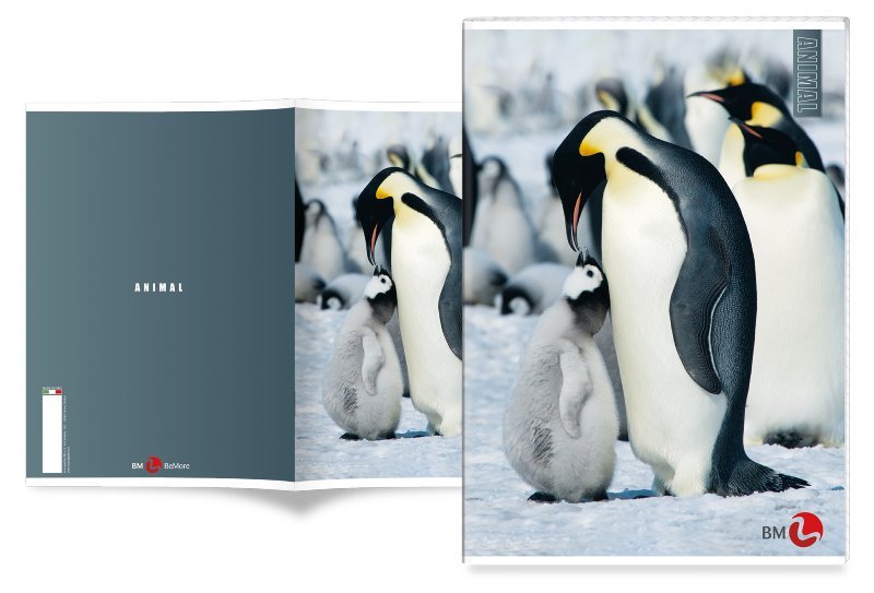 MAXI 80GR 4M ANIMAL bm