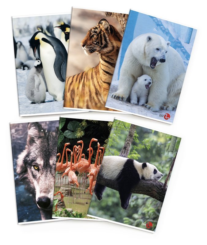 MAXI 80GR 4M ANIMAL bm