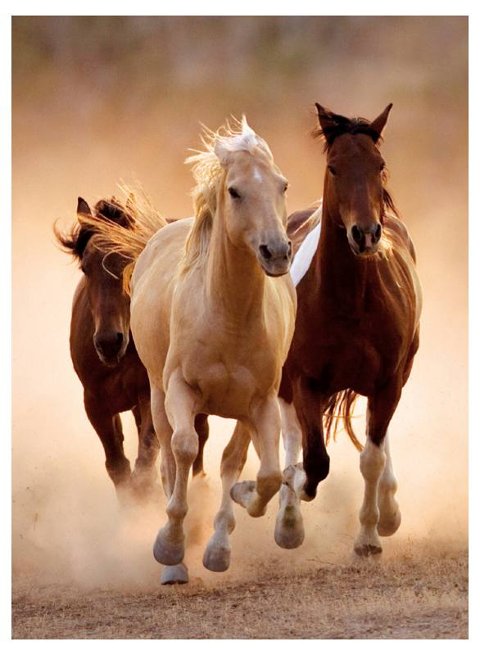 PUZZLE 1000 PZ Running horses clementoni