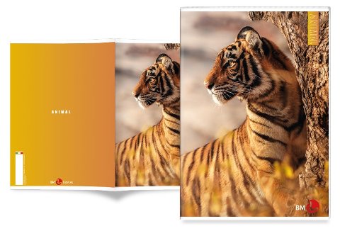 MAXI 80GR 4M ANIMAL bm