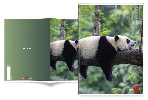 MAXI 80GR 4M ANIMAL bm