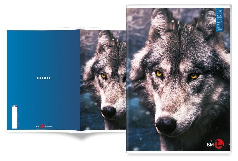 MAXI 80GR 4M ANIMAL bm