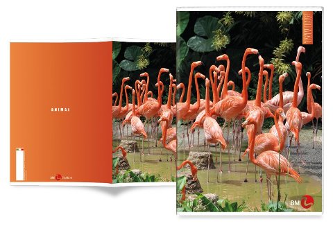 MAXI 80GR 4M ANIMAL bm