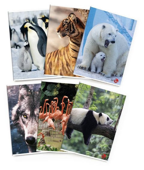 MAXI 80GR 4M ANIMAL bm