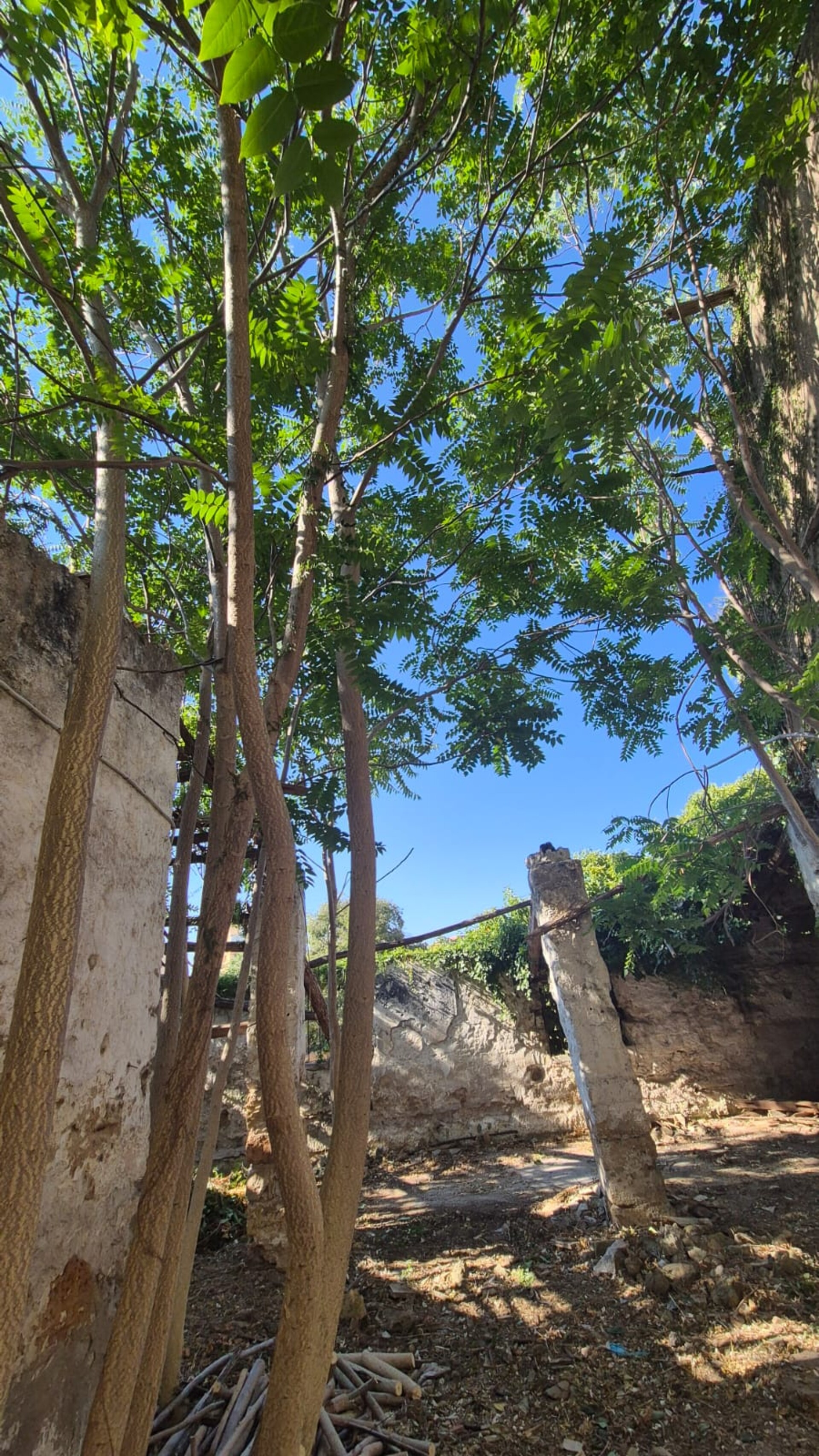 Rudere in Vendita a Palermo Calatafimi Alta
