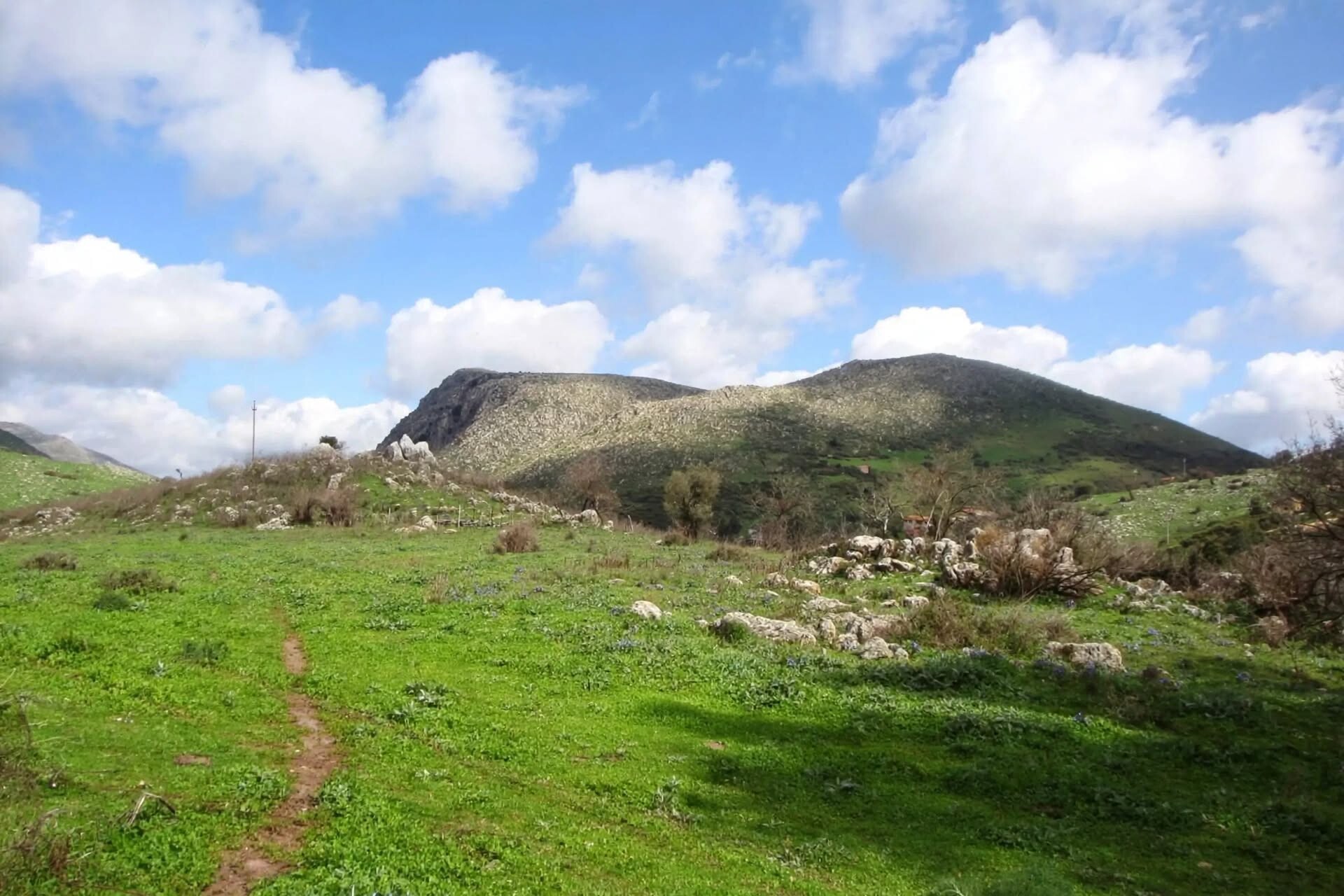 Terreno Edificabile in Vendita a Monreale Sagana (Palermo)