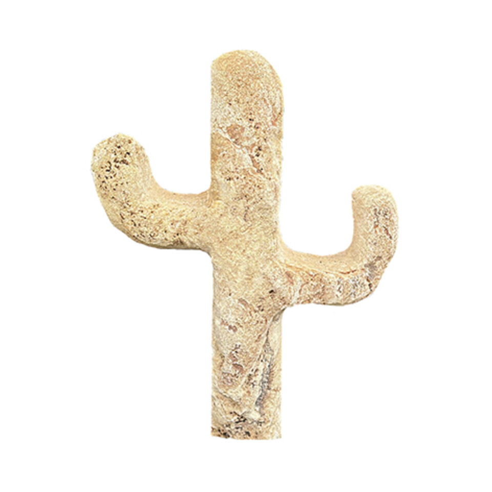 Monolite cactus cisam Mc