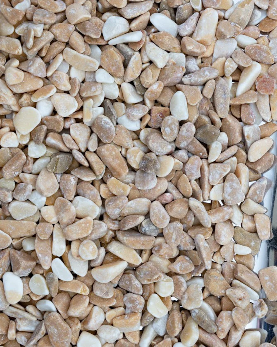 Ciotolo Giallo cisam Cg