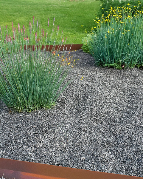 Ciotolo Verde delle Alpi cisam Cva