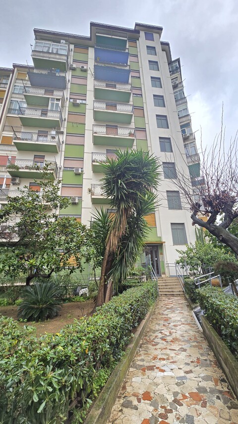 Appartamento in Vendita a Palermo civico università