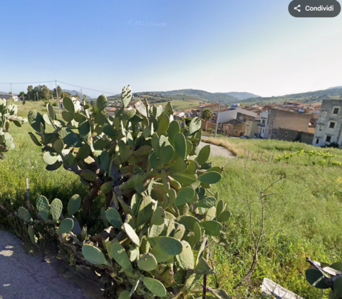 Terreno Edificabile in Vendita a Bolognetta Puccini (Palermo)