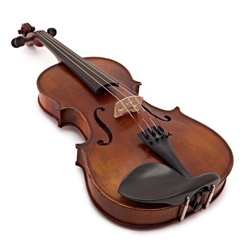 STENTOR VERONA PREPARATO