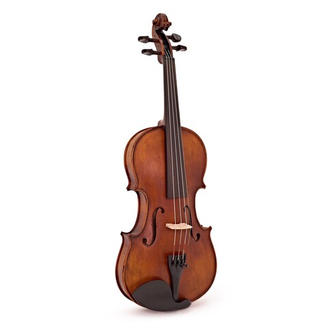 STENTOR VERONA PREPARATO