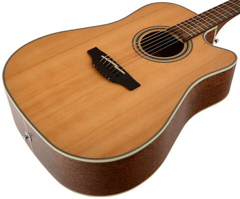 TAKAMINE GD20CE NS