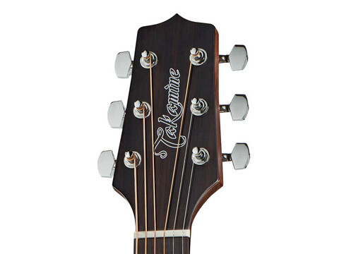 TAKAMINE GD20CE NS