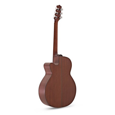 TAKAMINE P1NC